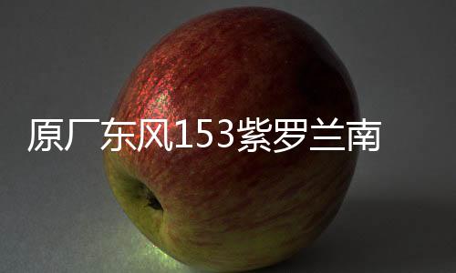 原厂东风153紫罗兰南骏1063小财神145大运嘉龙前大灯总成雾灯总成