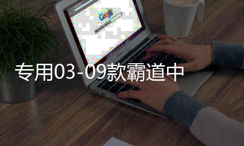 专用03-09款霸道中网改装 普拉多中网饰条亮条装饰 配件 彩条