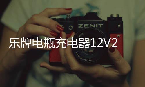 乐牌电瓶充电器12V24V伏纯铜多功能通用大功率摩托汽车电池充电机