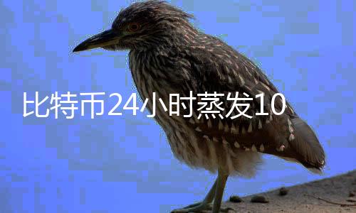 比特币24小时蒸发1000亿美元 多因素利空“袭击”比特币