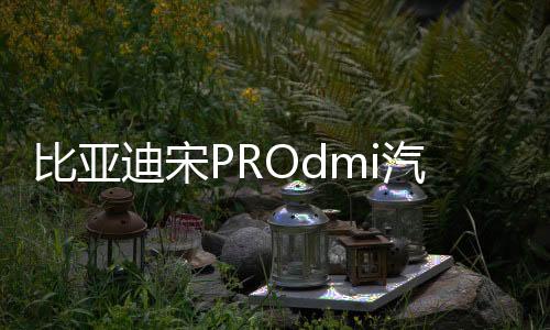 比亚迪宋PROdmi汽车专用隔板装饰隔物板收纳配件储物尾箱