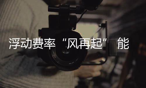 浮动费率“风再起” 能否实现双赢?