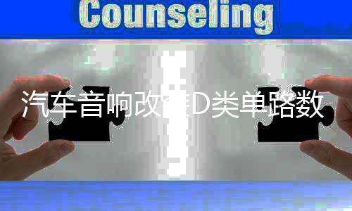 汽车音响改装D类单路数字大功率双音圈超重纯低音无源低音炮功放