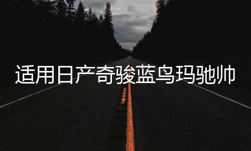 适用日产奇骏蓝鸟玛驰帅客颐达劲客汽车前门后门音响喇叭无损升级