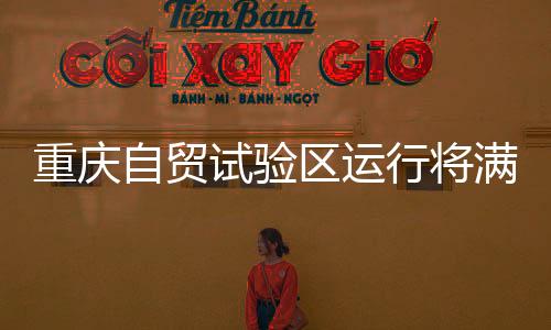 重庆自贸试验区运行将满半年,到底有何魅力?