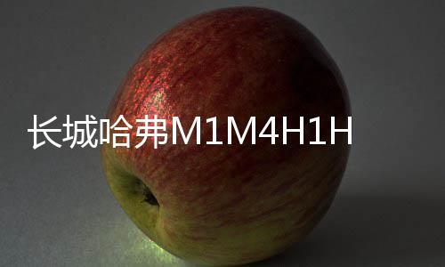 长城哈弗M1M4H1H2H5H6H7汽车同轴喇叭音响全频6.5寸改装重低音炮