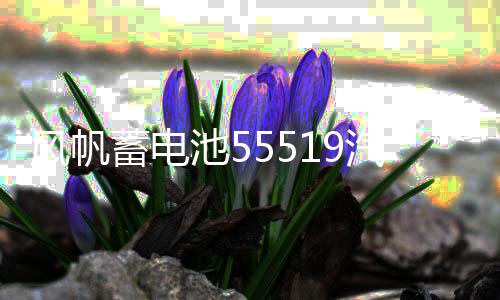 风帆蓄电池55519汽车电瓶适配于长城嘉年华马自达3别克赛欧