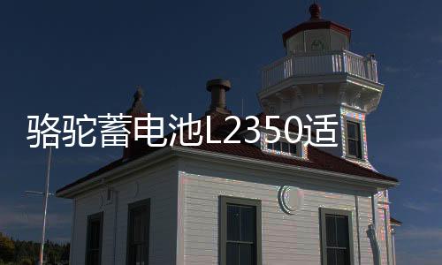 骆驼蓄电池L2350适用于东风长安悦翔睿骋逸动汽车电瓶 以旧换新